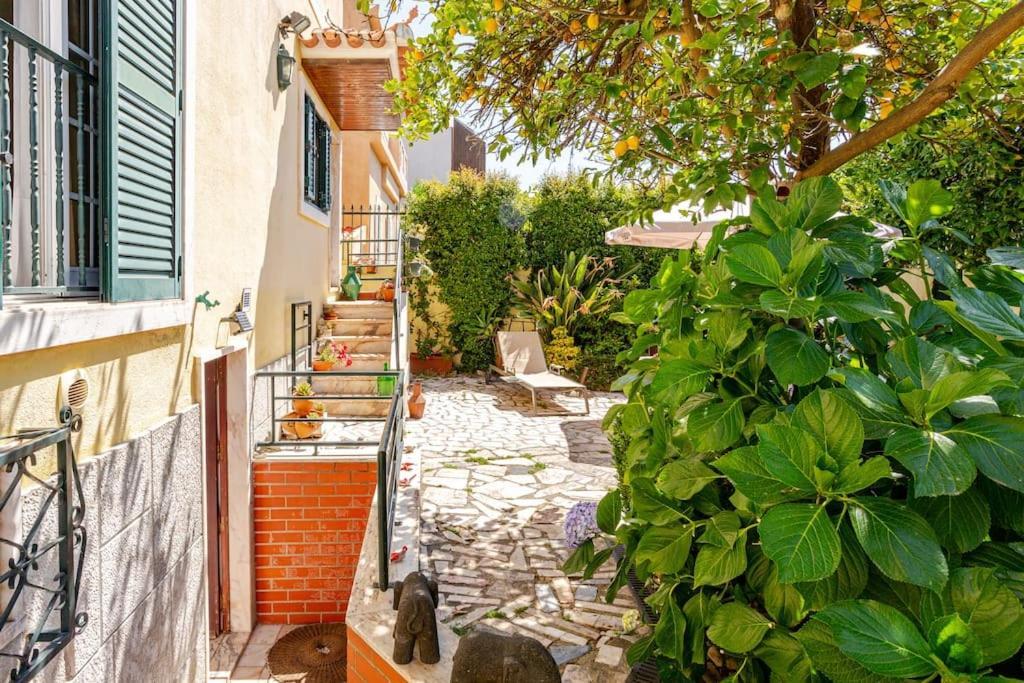 Studio & Garden Lisboa Εξωτερικό φωτογραφία
