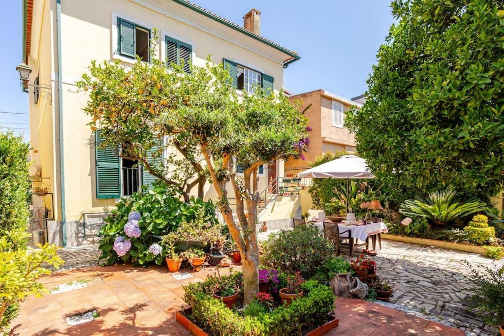 Studio & Garden Lisboa Εξωτερικό φωτογραφία