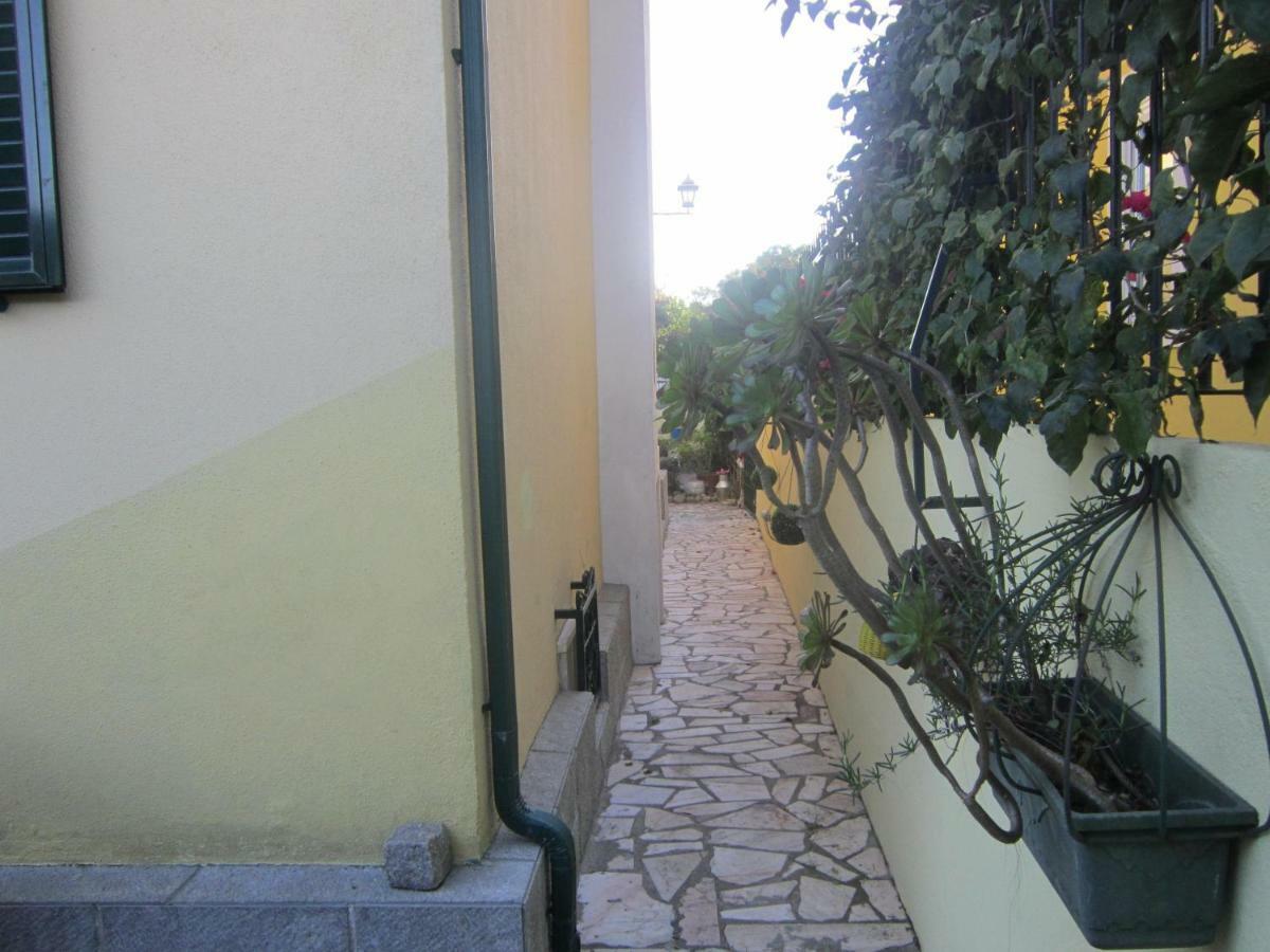 Studio & Garden Lisboa Εξωτερικό φωτογραφία